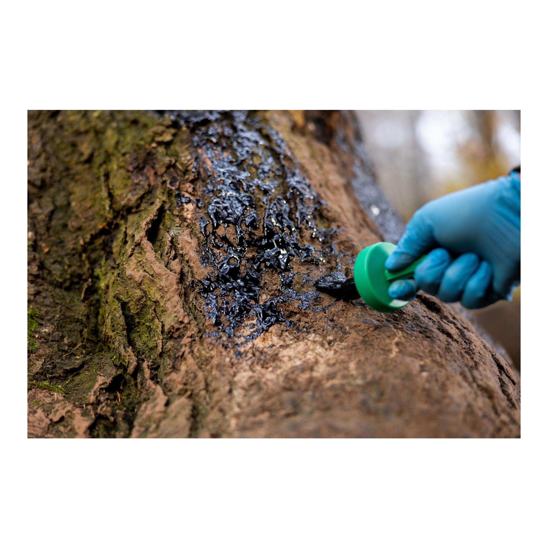 Weisskirchen Buchenholzteer - 500 ml Dose + Pinsel