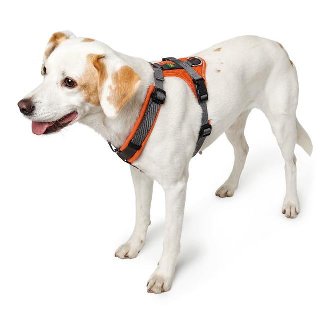 Geschirr Maldon - orange/grau