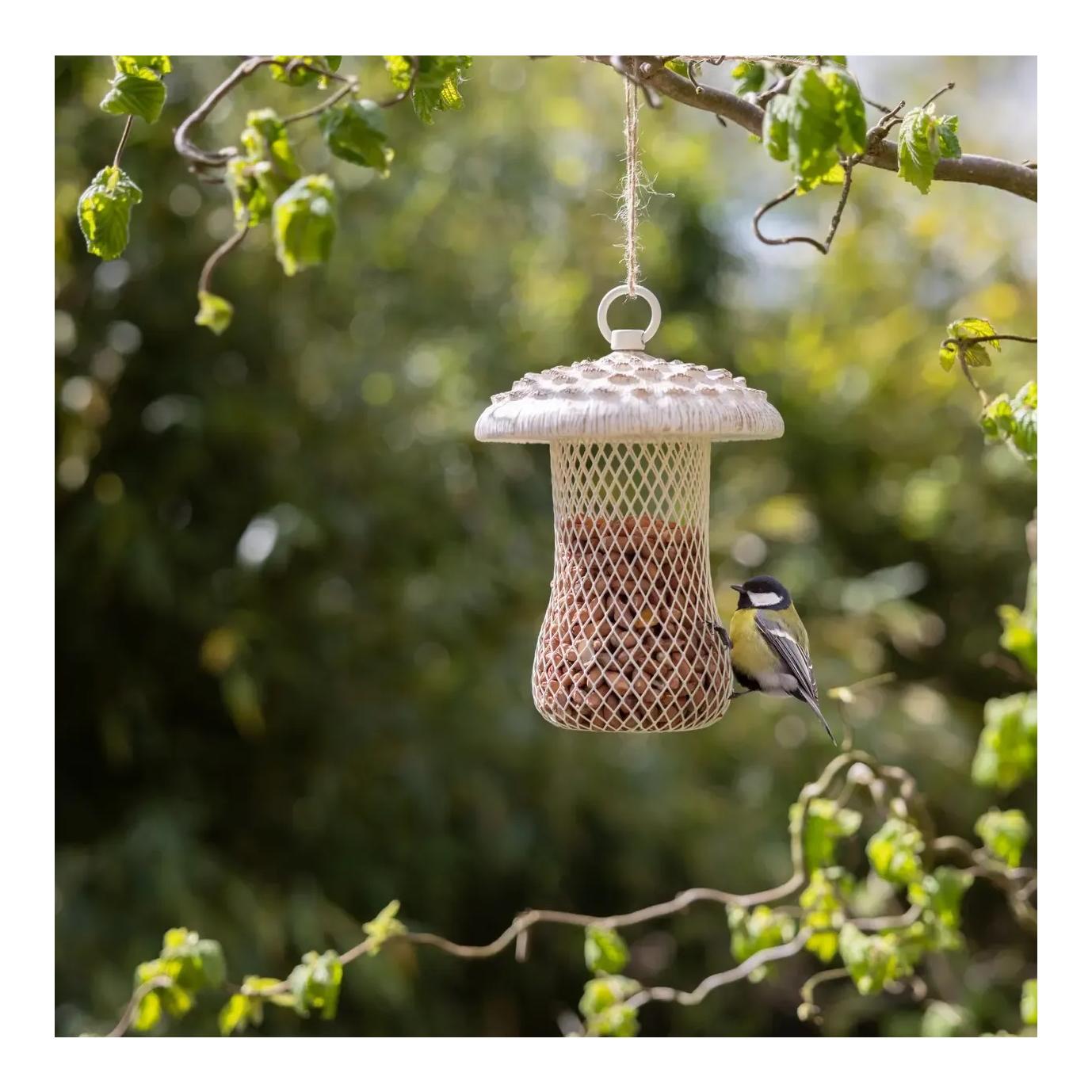 Futterstelle Riesenschirmpilz