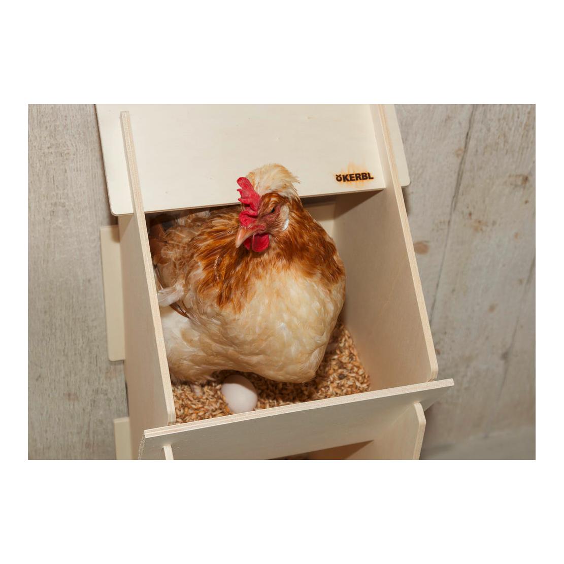 Nid de ponte en bois