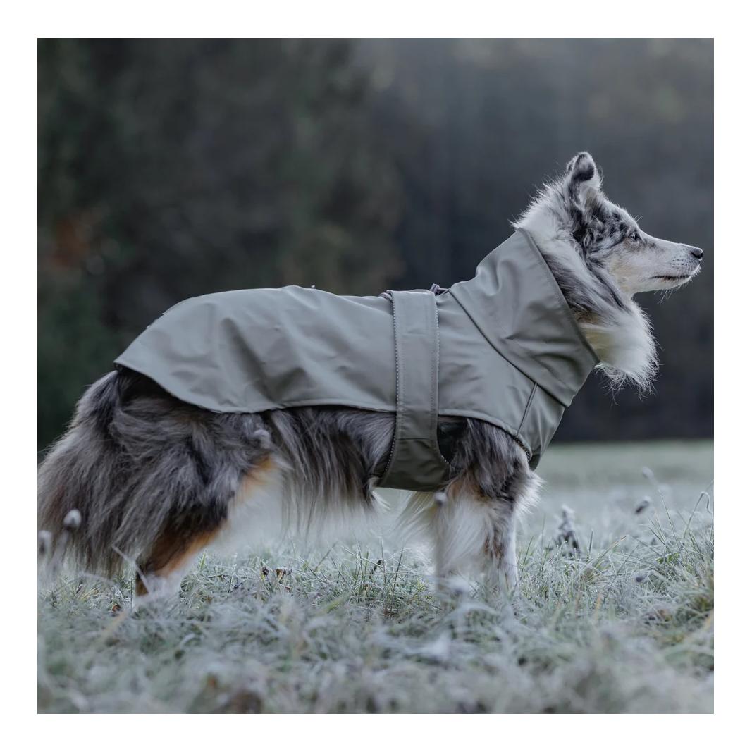 Stilvoller Hunderegenmantel