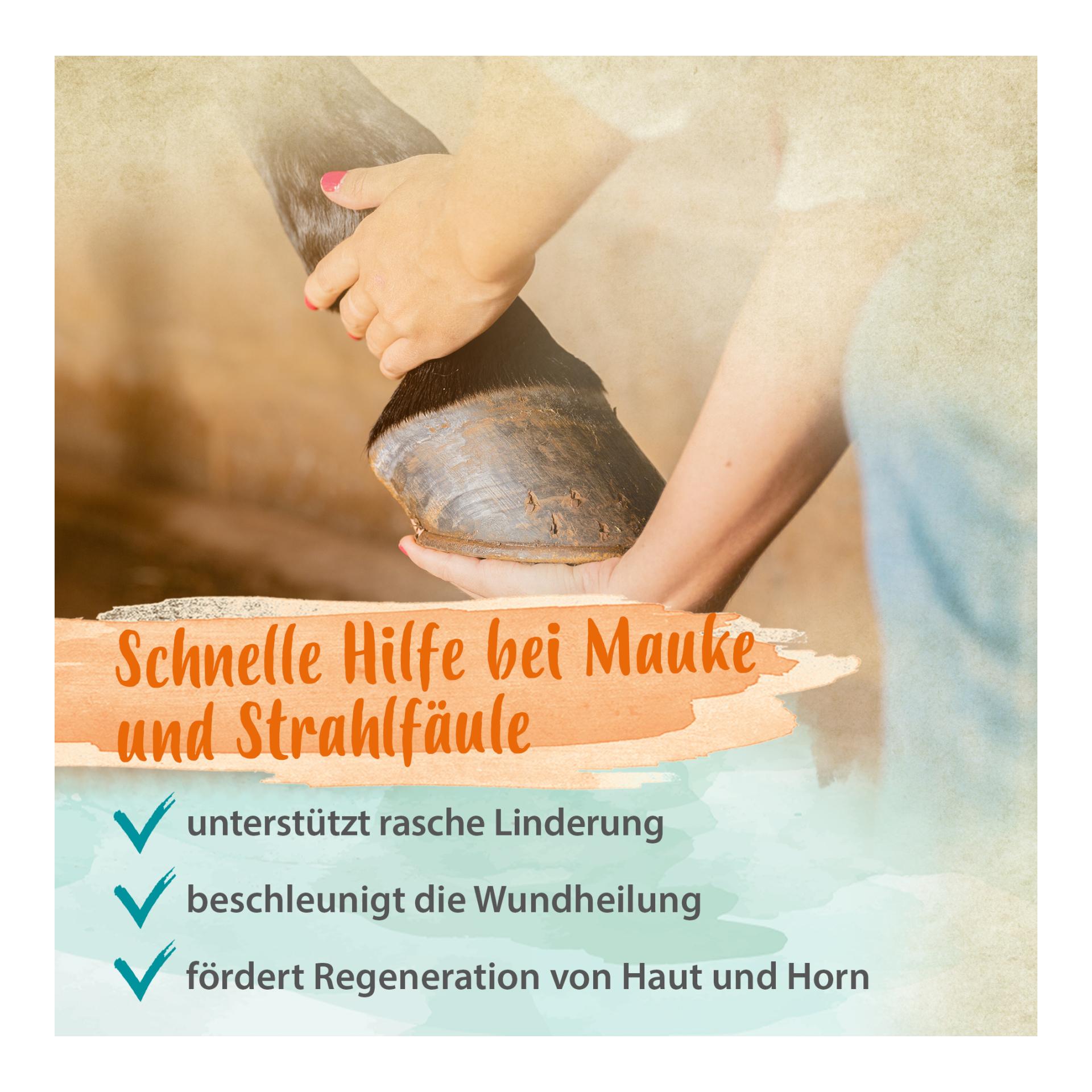 Mauke Spray für Pferde - schnelle Hilfe bei Mauke, Strahlfäule & Ekzemen 