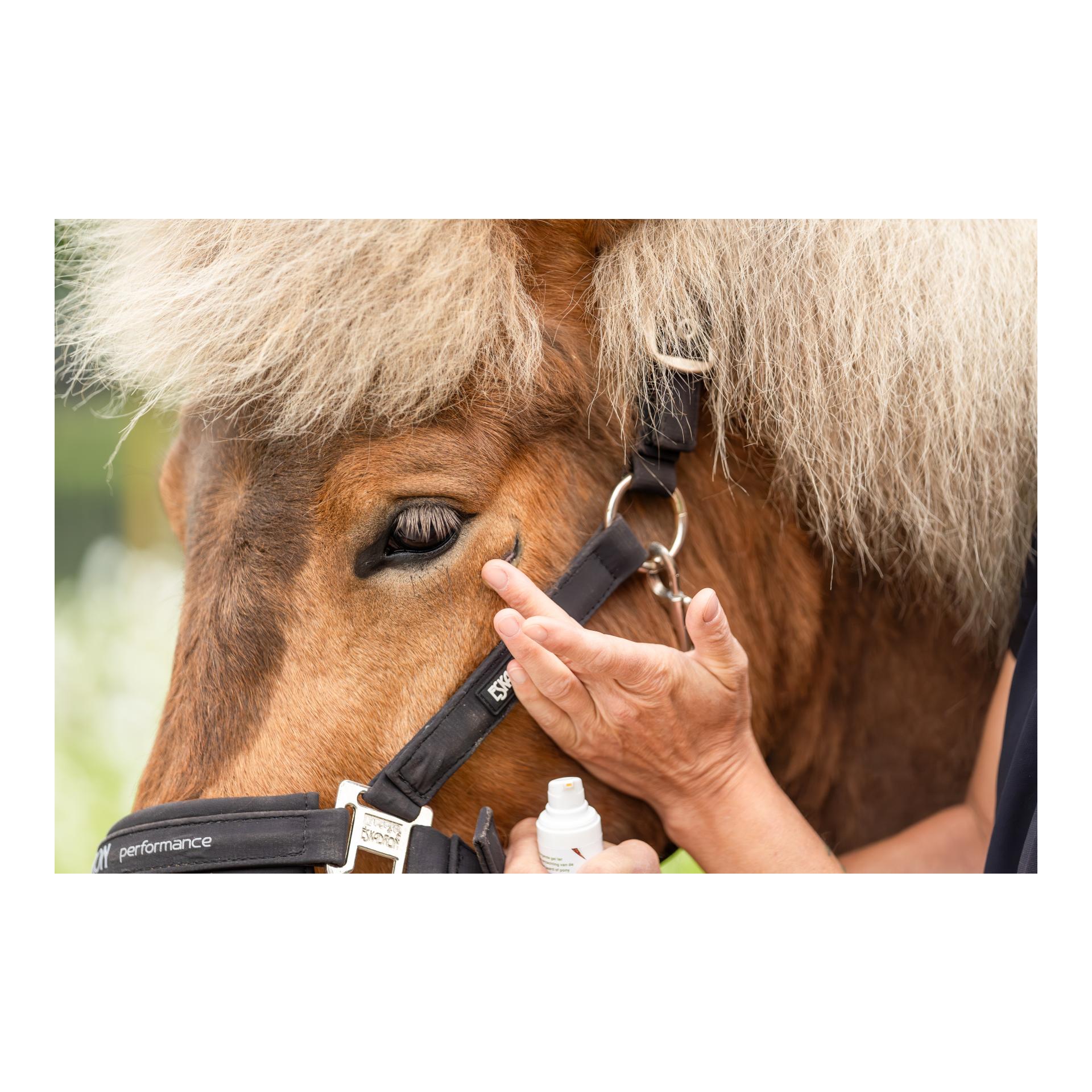 Hydro Repair Gel Horse