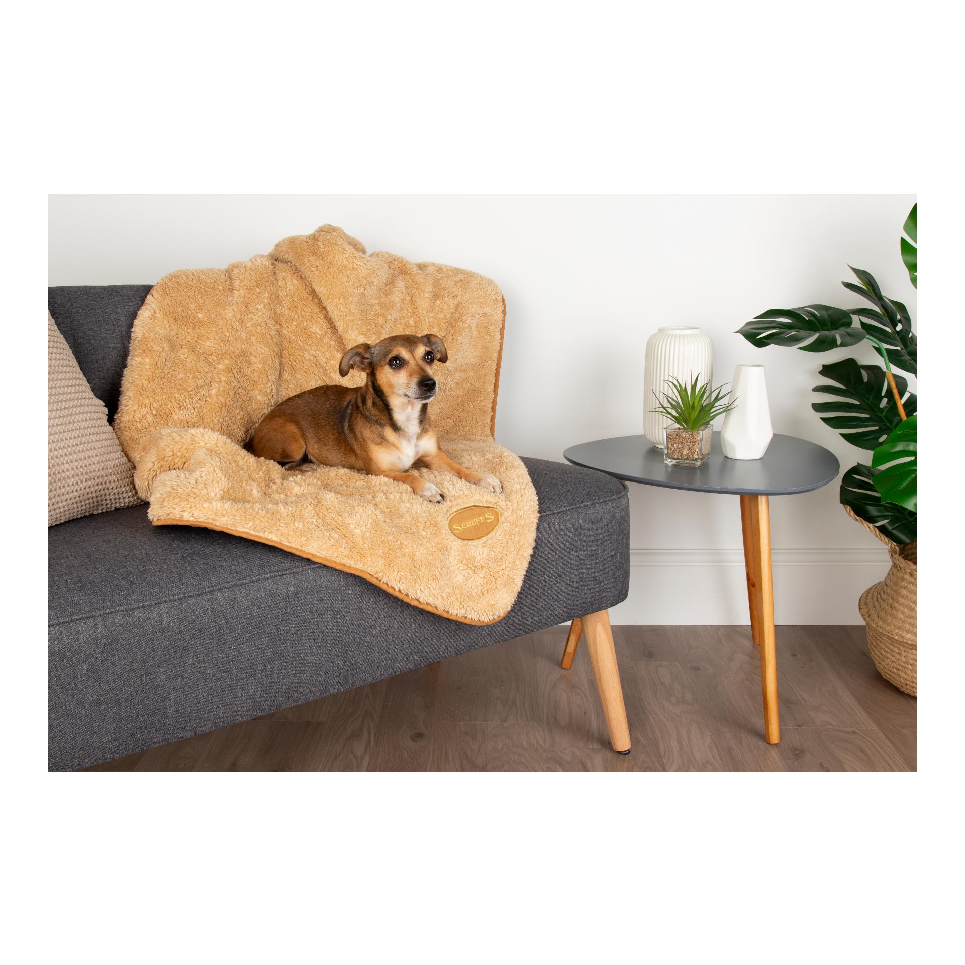 Kuscheldecke für Hunde