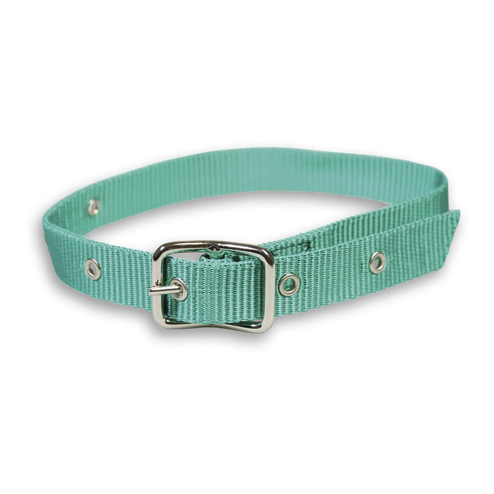 Halsband für kleine Tiere mit Dornschnalle 25 mm