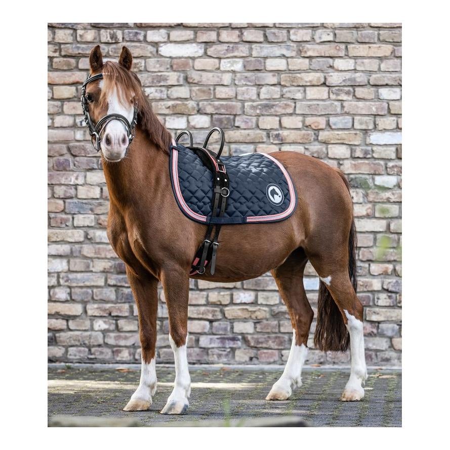 Longiergurt mit zwei Handgriffen synthetik