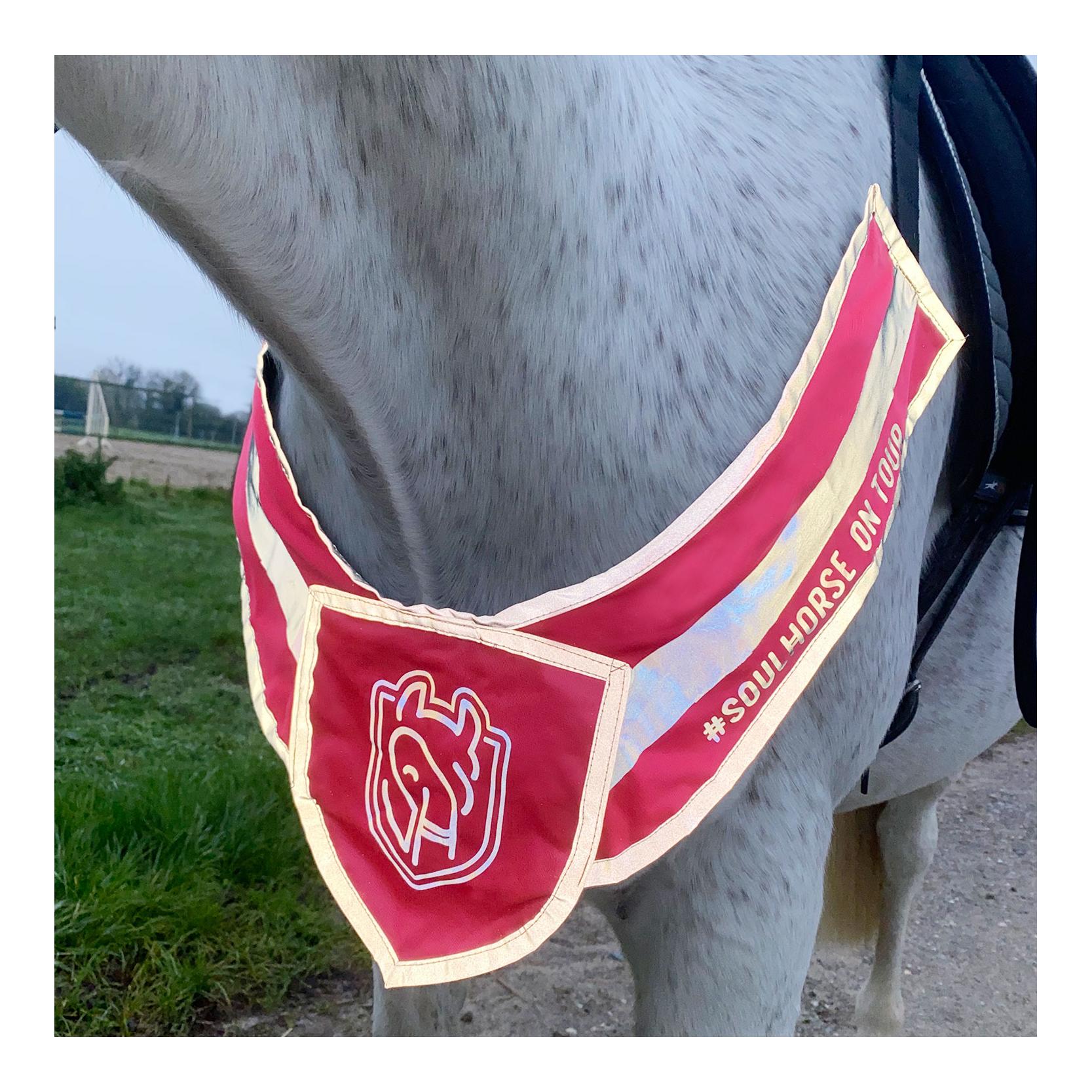 Kit d'éclairage avant 