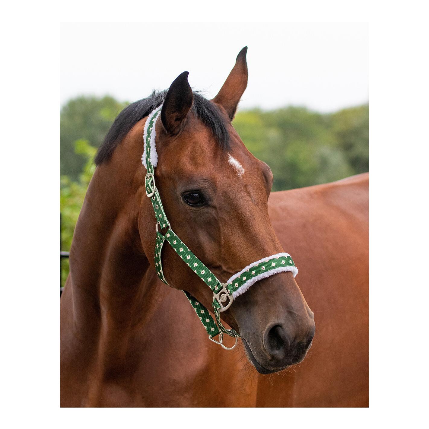 Halfter Christmas Elf