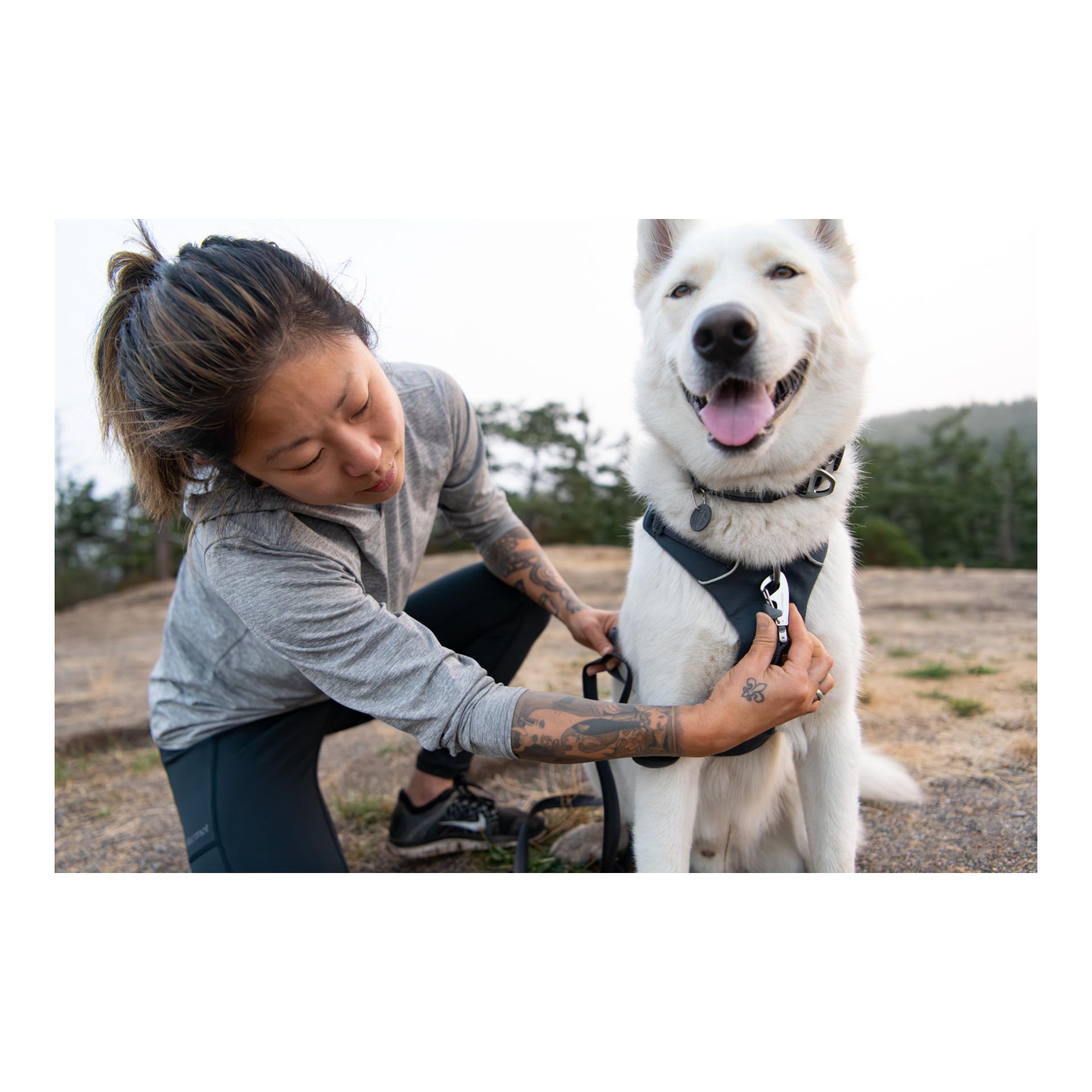 Front Range® harnais pour chien 