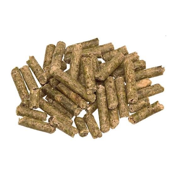 Darm-Regulator – régulateur intestinal