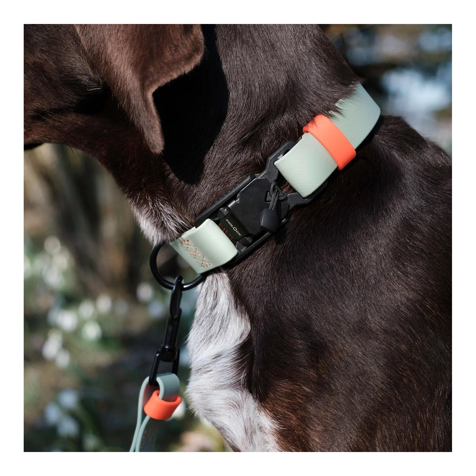Hundehalsband BioThane Ipanema