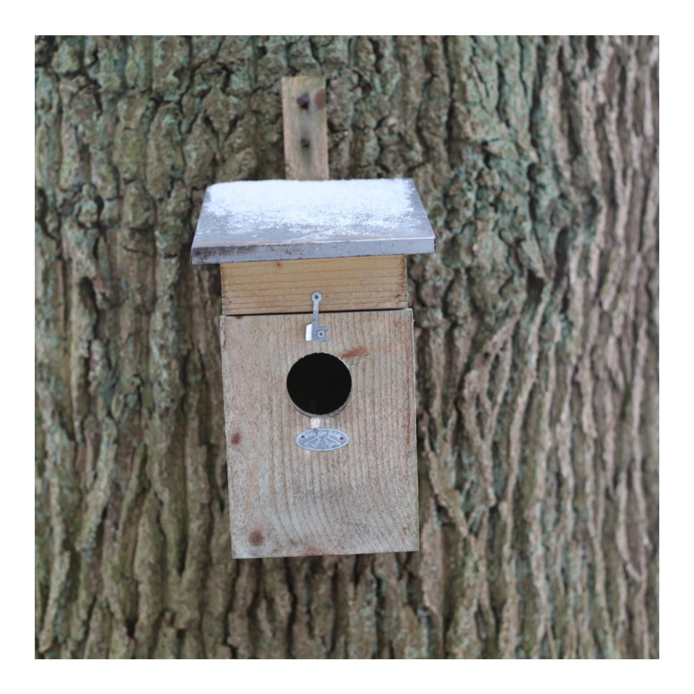 Nistkasten Star