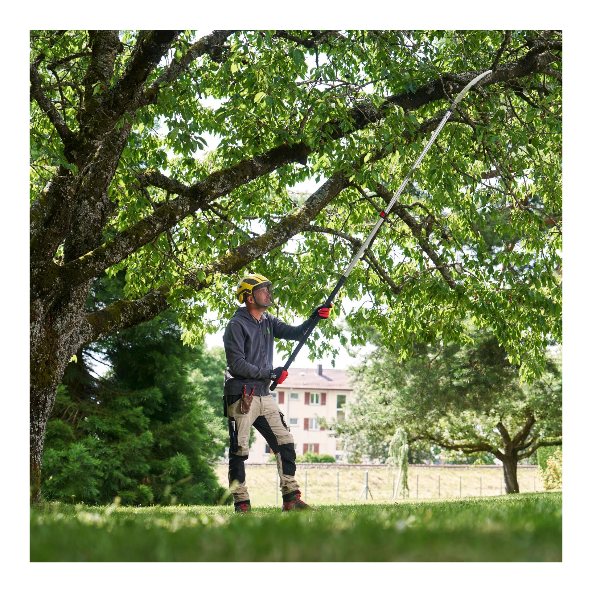 FELCO 682 Stangensäge