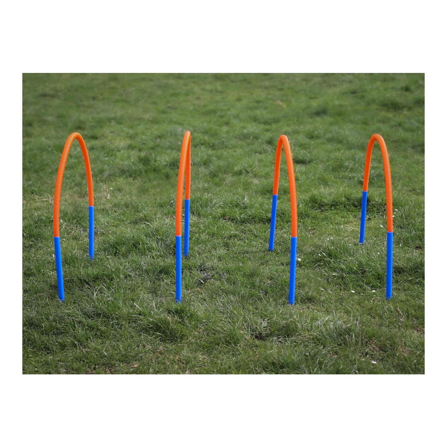 Starter Training Set für Hunde