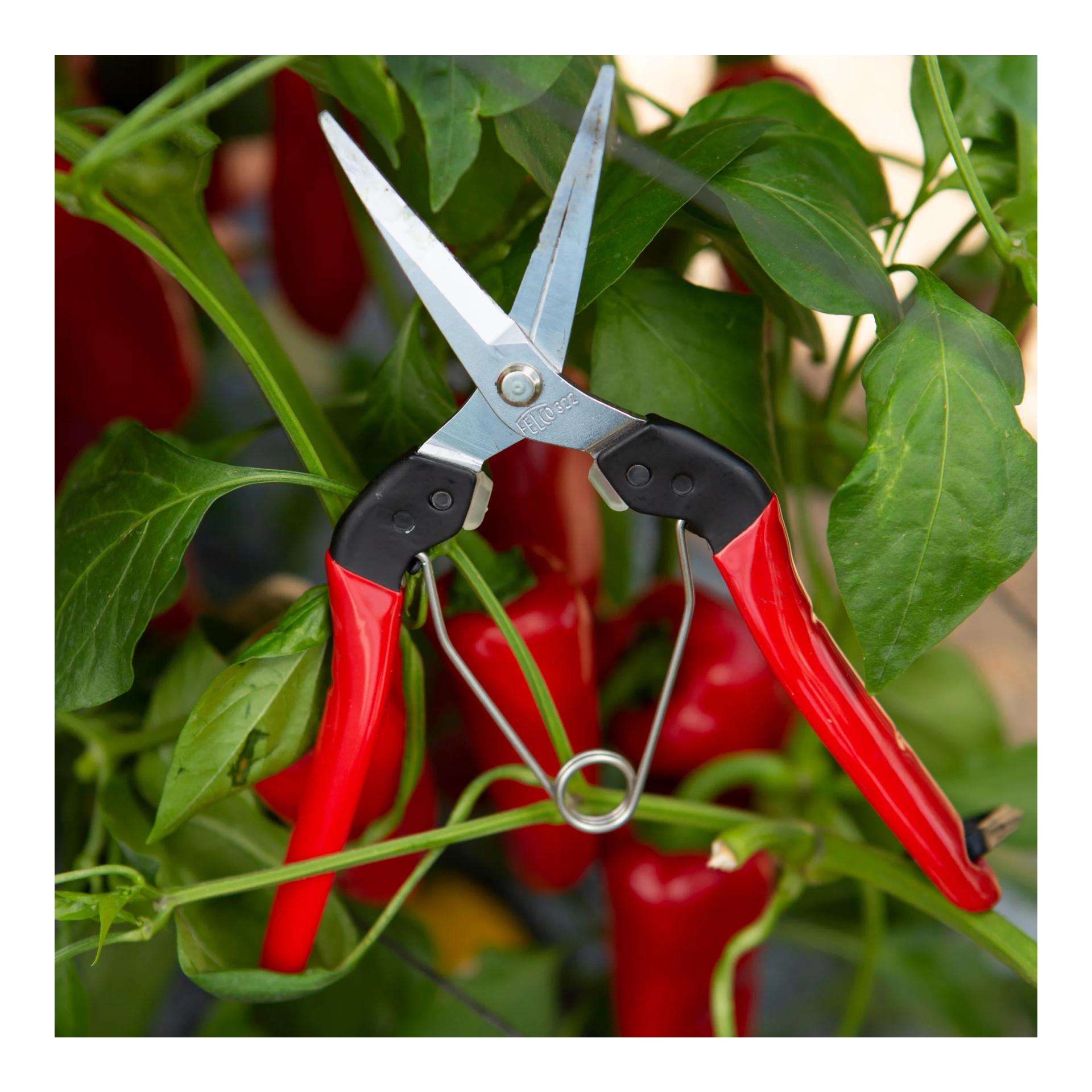 FELCO 322 Ernte- und Leseschere