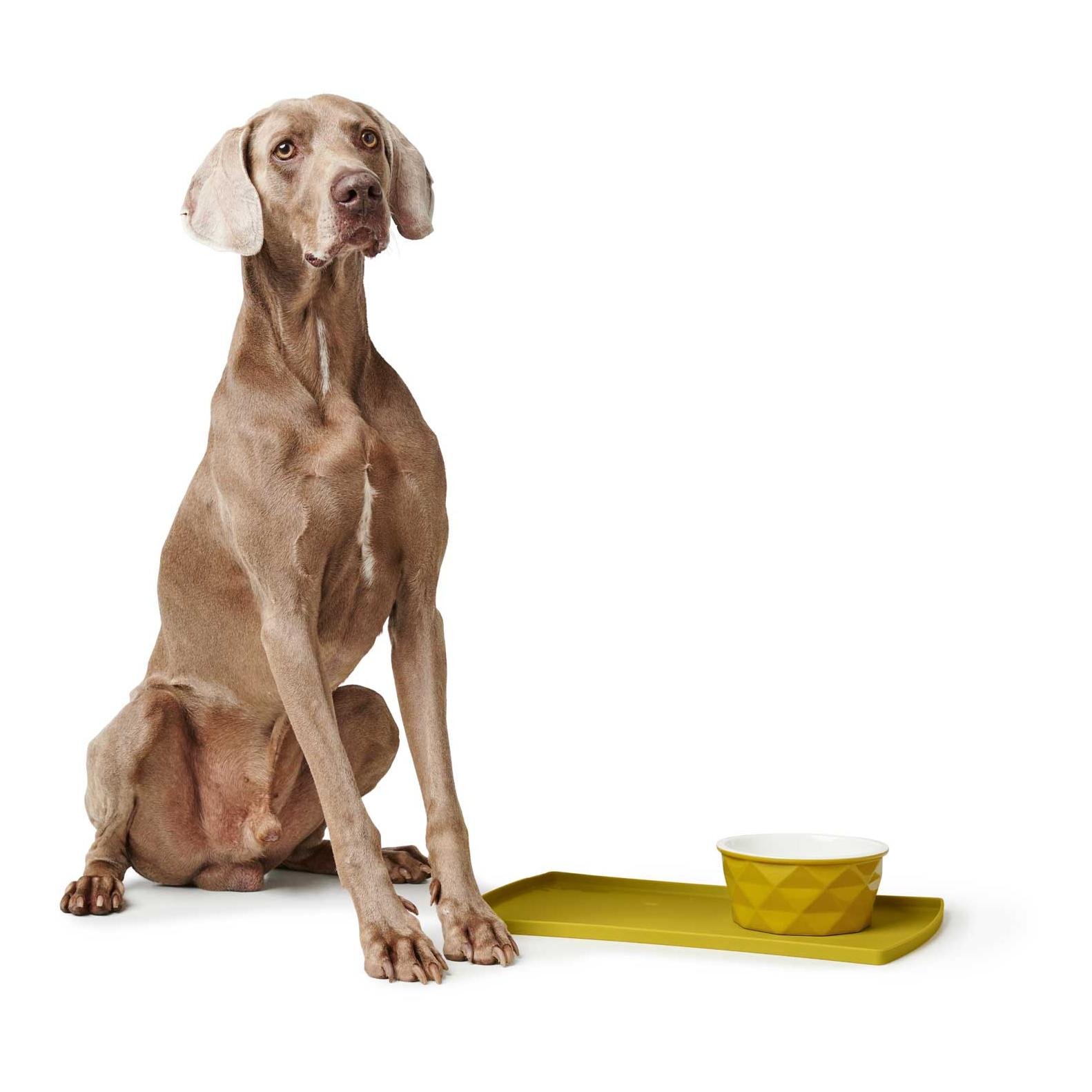 Tapis pour écuelle Eiby - jaune