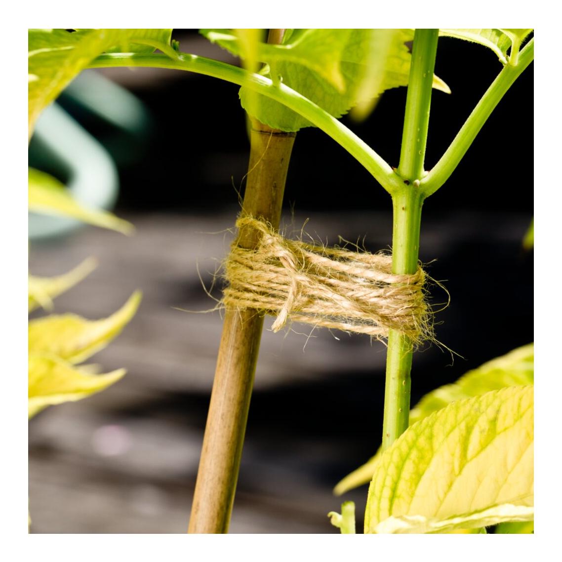 Flachs-Gartenschnur ÖKO