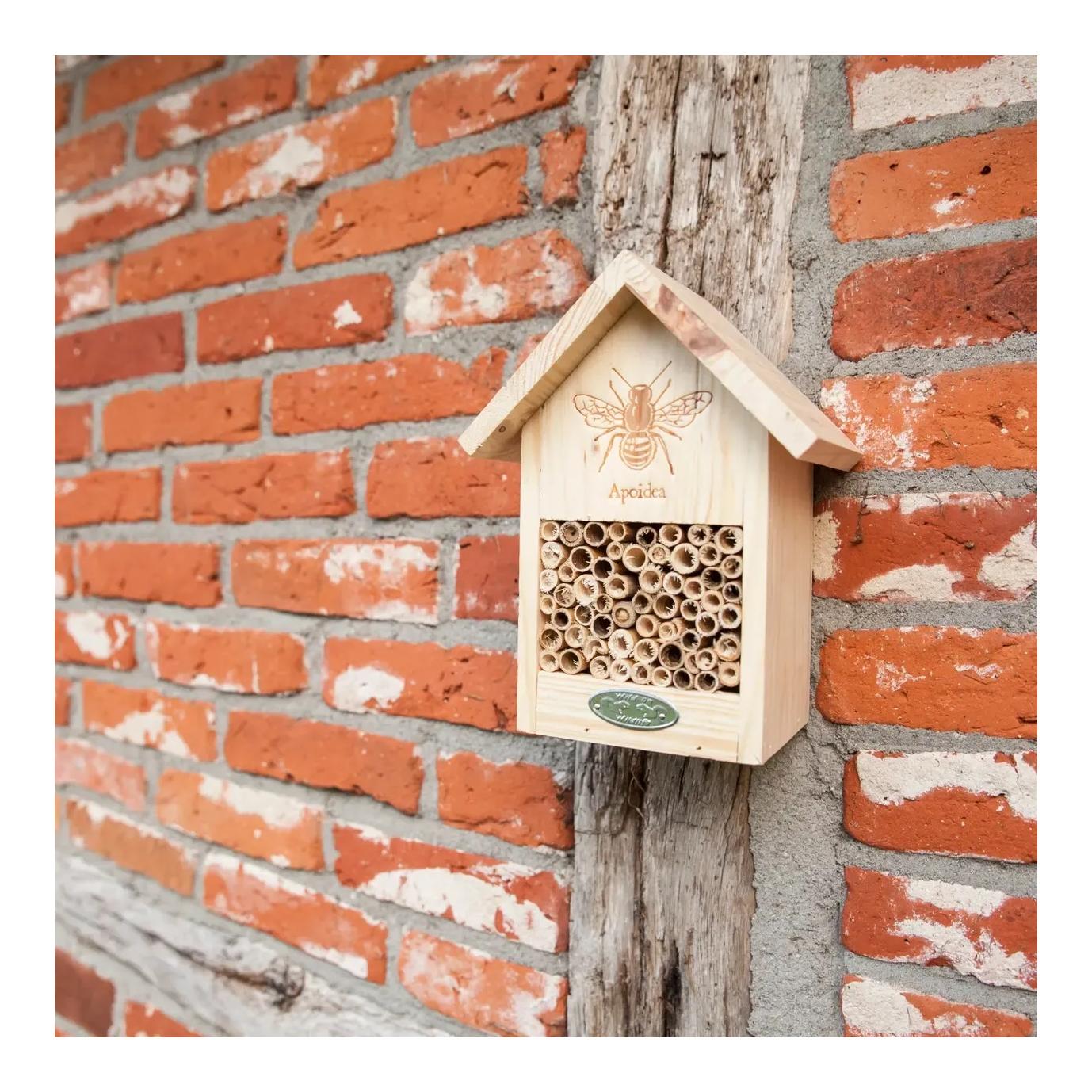 Bienenhaus mit Silhouette
