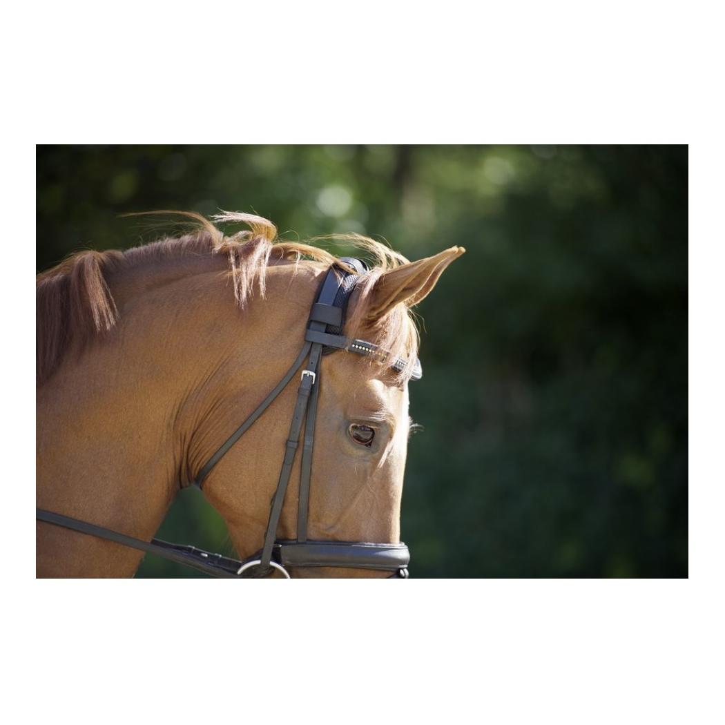 Genickschoner mit 4 Klettbändern - schwarz