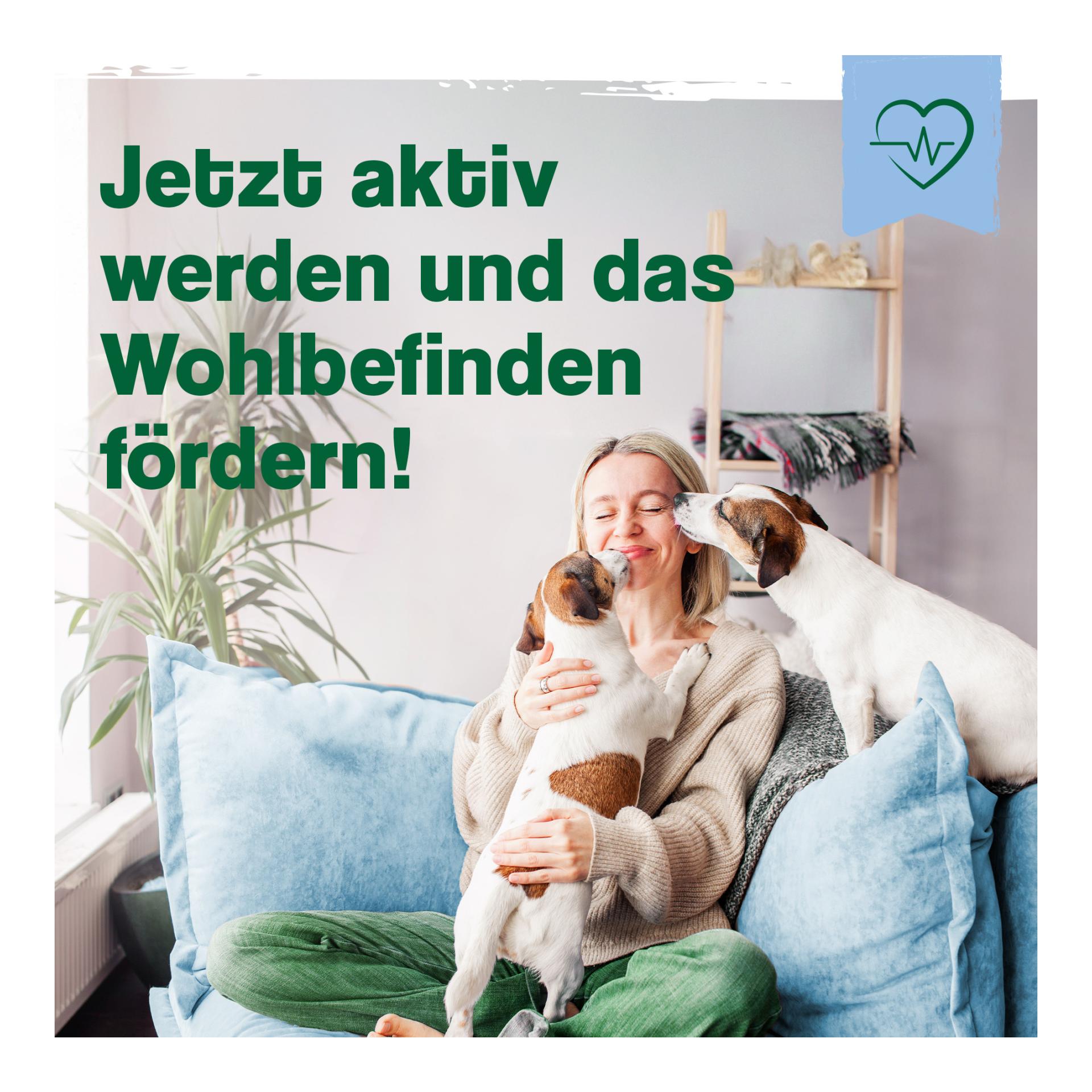 IdaPlus Jus multi-vitaminé pour chiens – 17 vitamines importantes pour les chiens