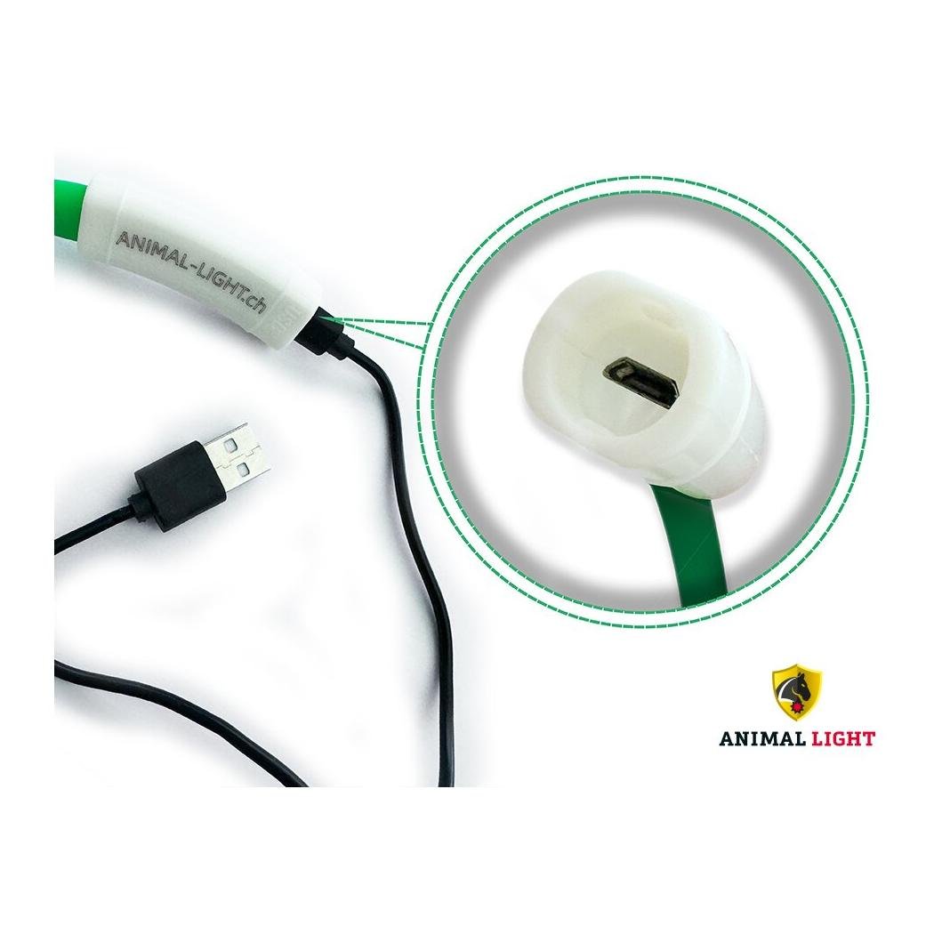 Leucht-Halsriemen Flex