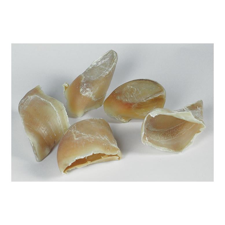 Kalbshufe Kauartikel