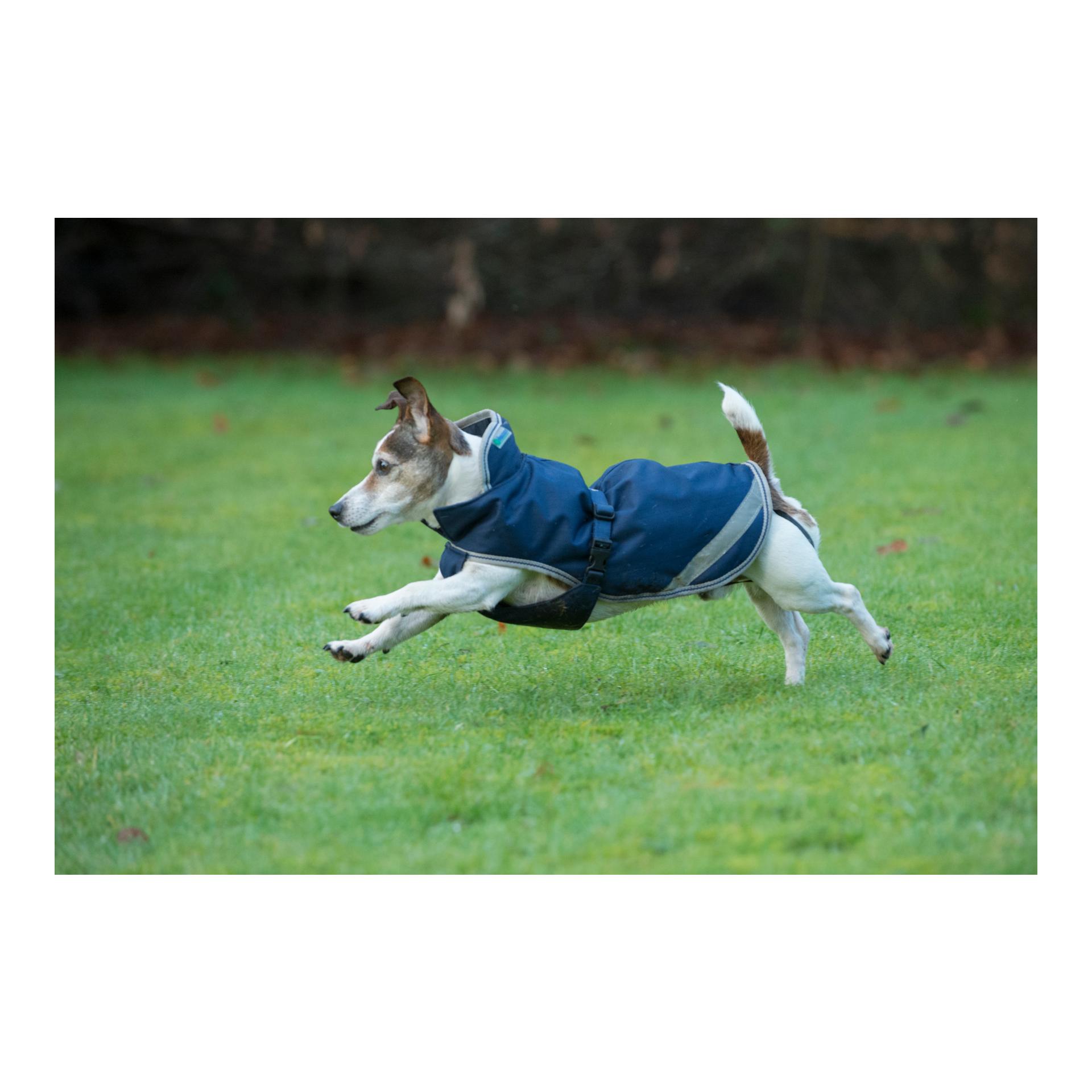 Bucas Dog Rug 300g - bleu marine/argenté