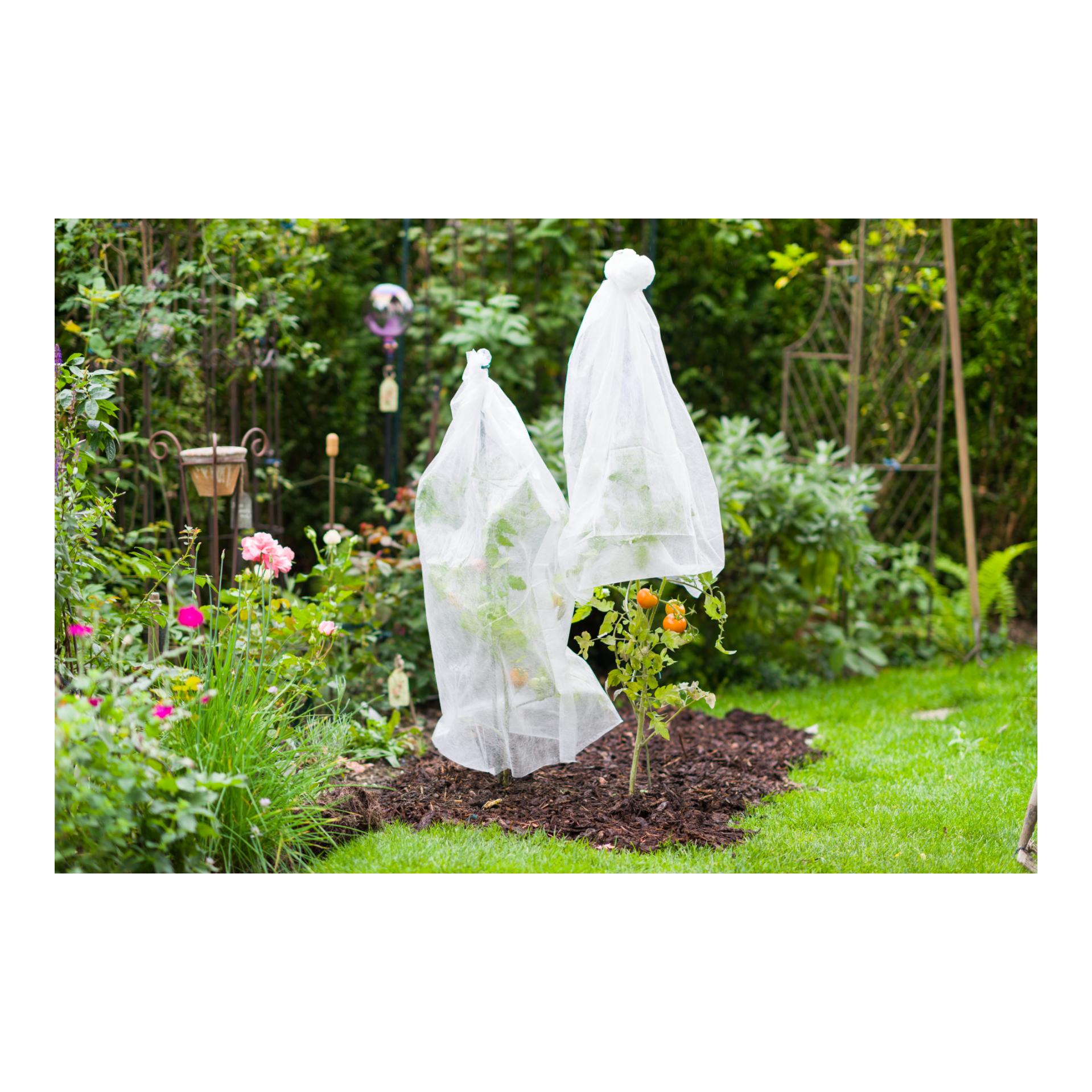 Tomaten-Vliesschlauch Greenline