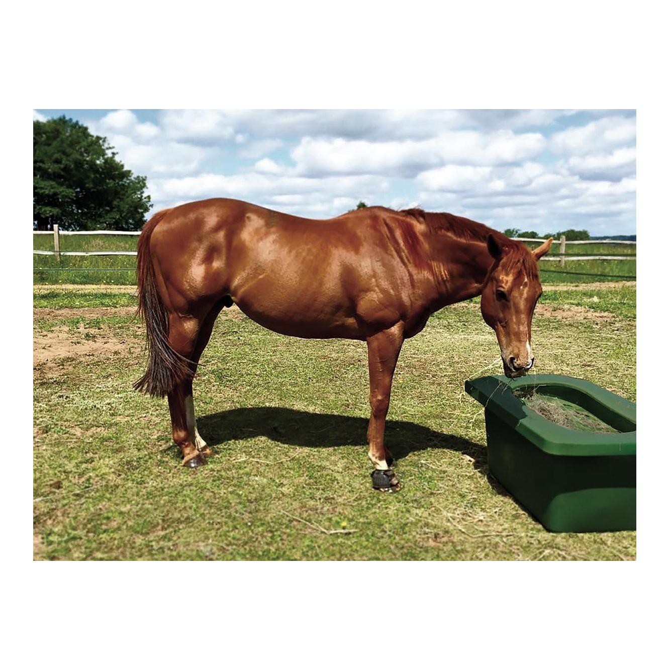 Growi Koppel- u. Paddocktrog aus Kunststoff