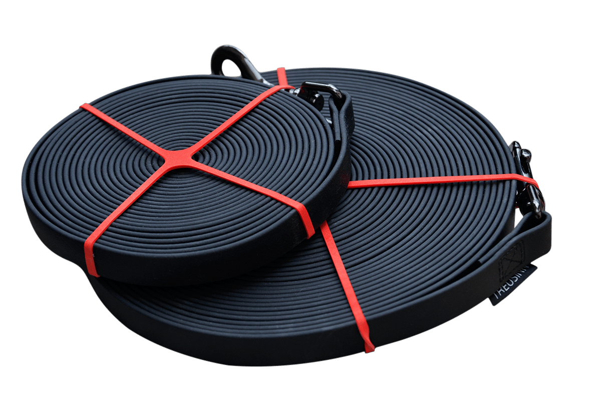 Schleppleine Biothane STAY