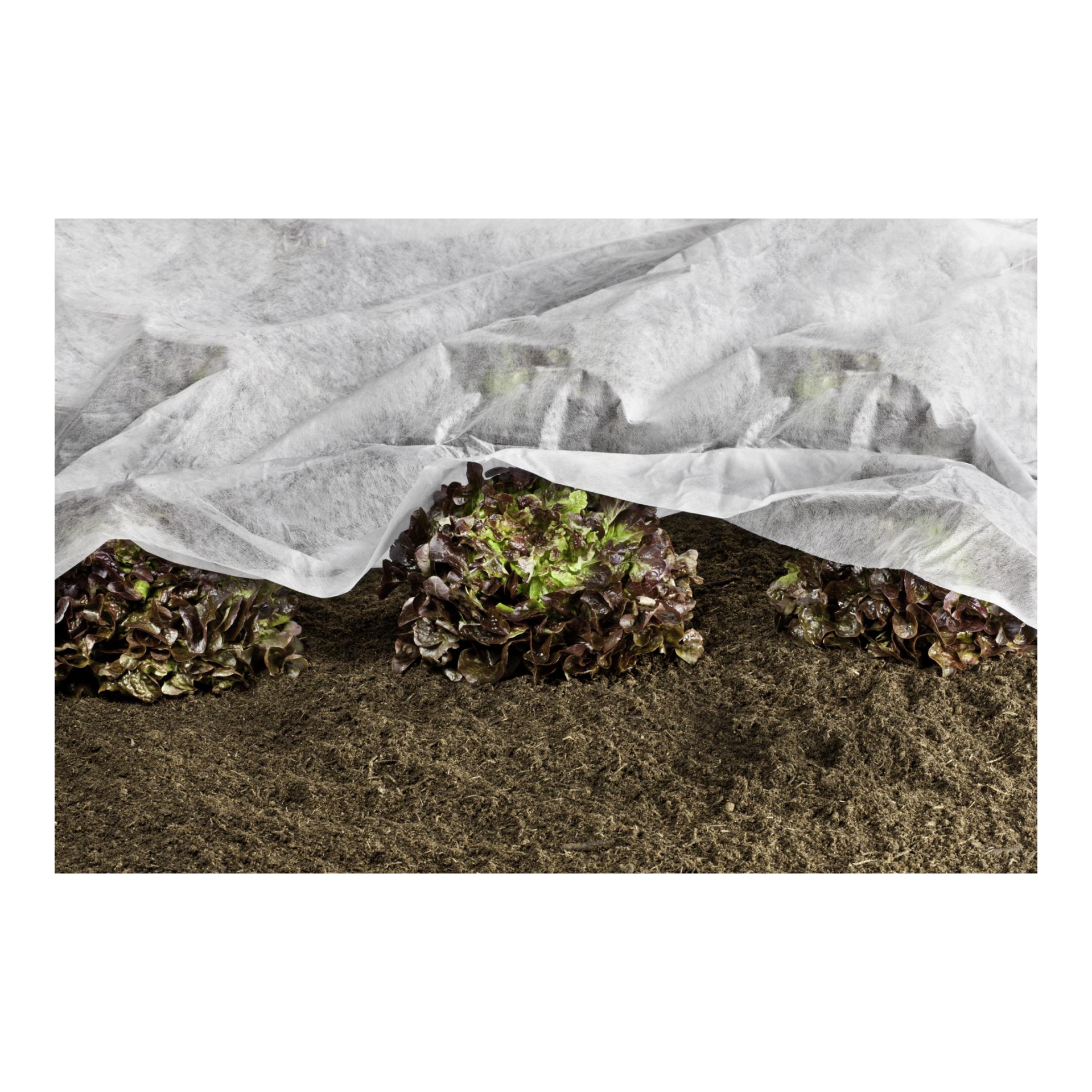 Wachstumsvlies Greenline