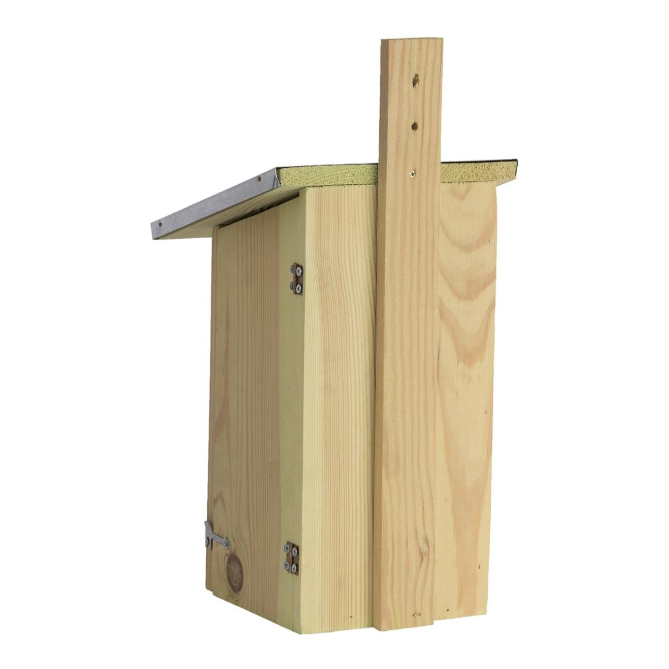 Beobachtungsnistkasten