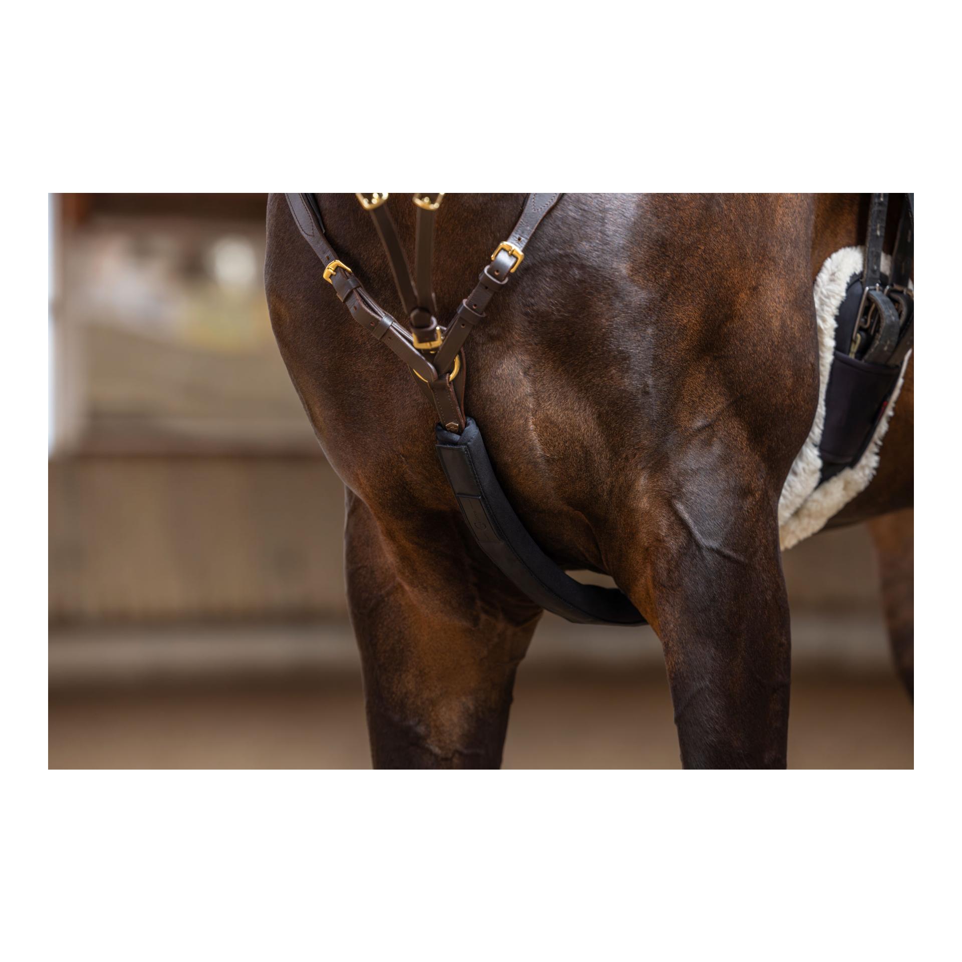 Martingalschoner Synthesekautschuck - schwarz