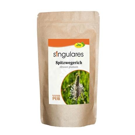 Singulares Spitzwegerich