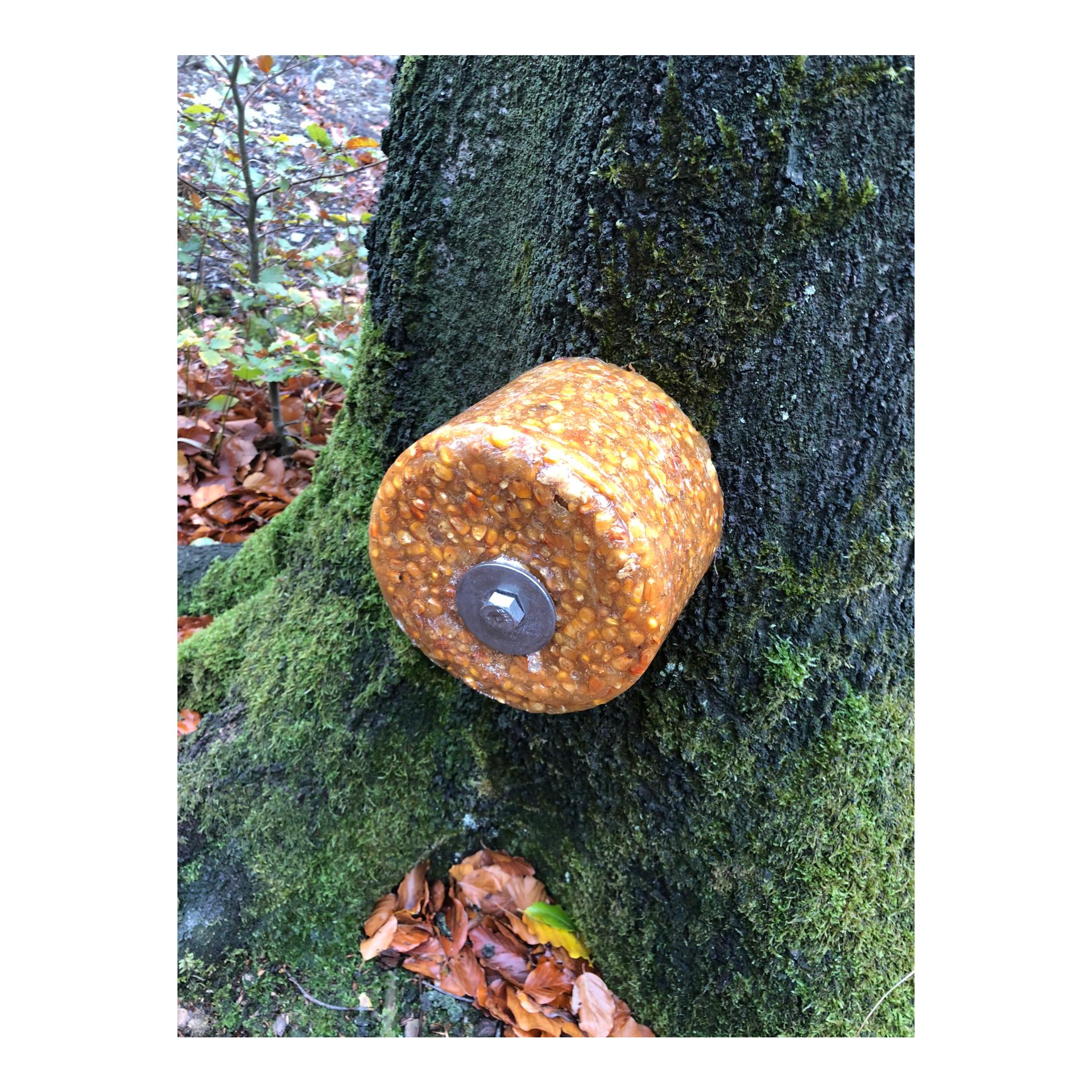 Befestigungsset Baumanbringung für Lecksteine