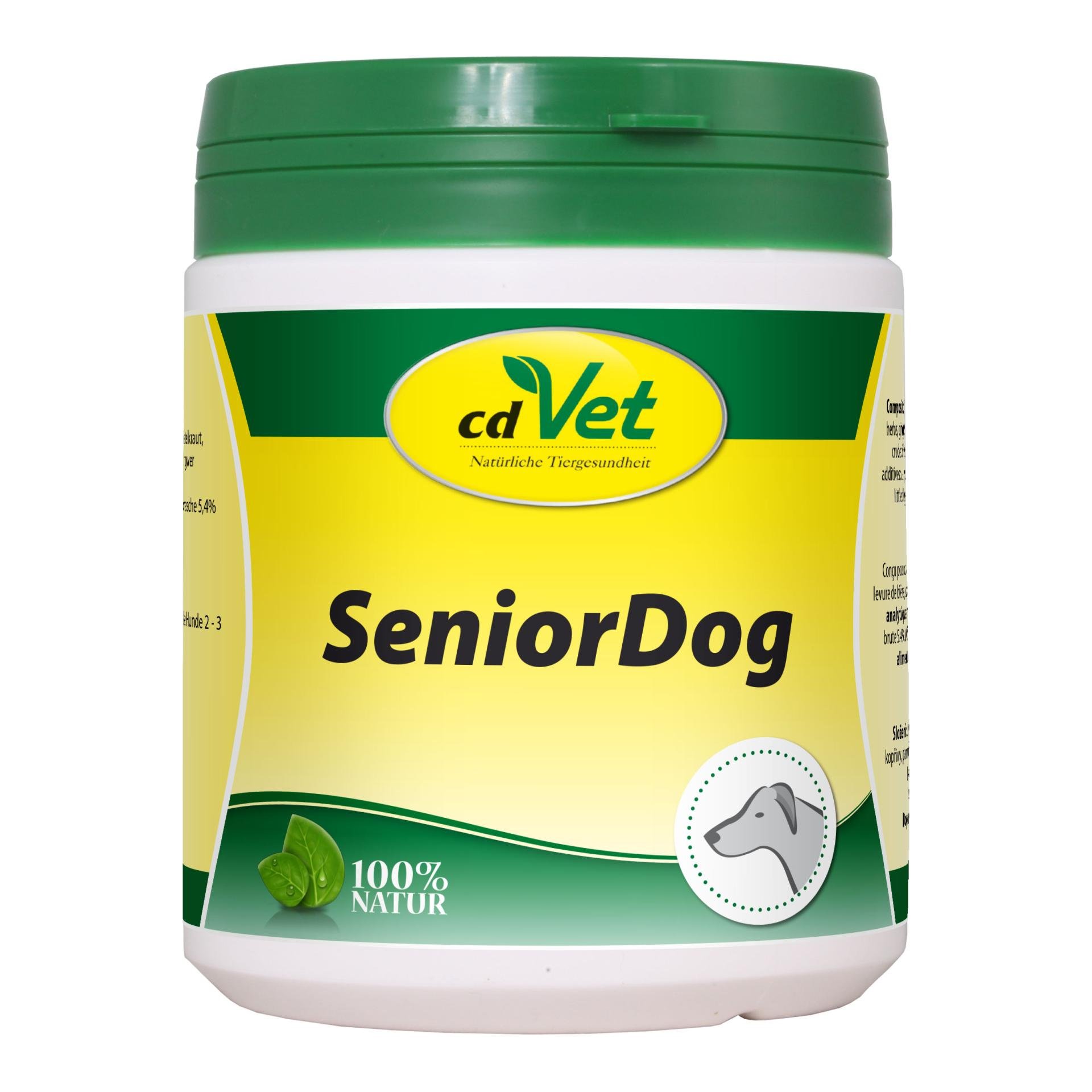SeniorDog
