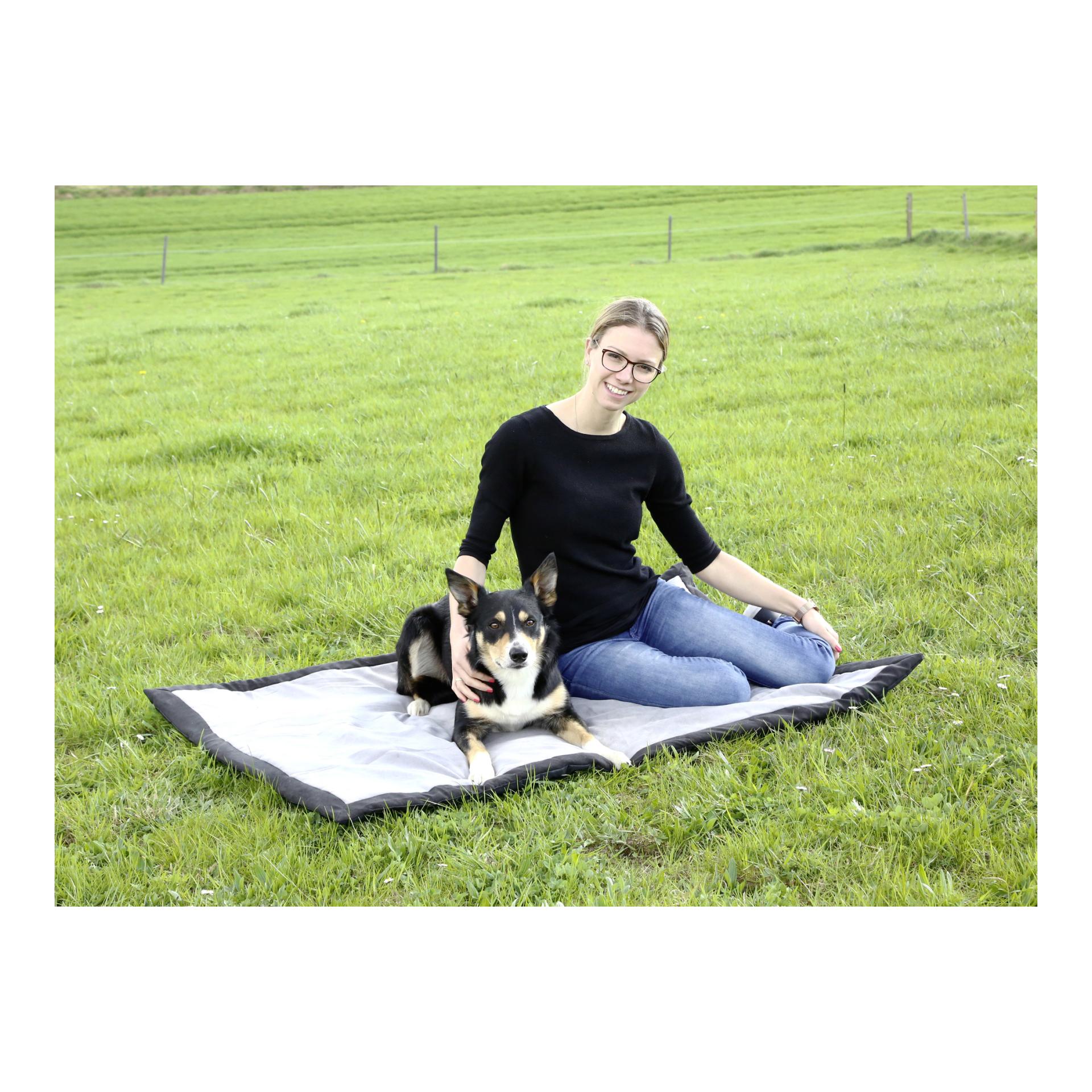 Tapis pour chien Trip - gris/noir
