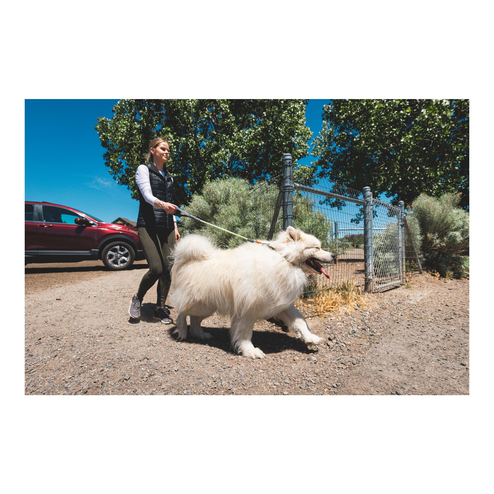 Knot-a-Long Leash Hundeleine