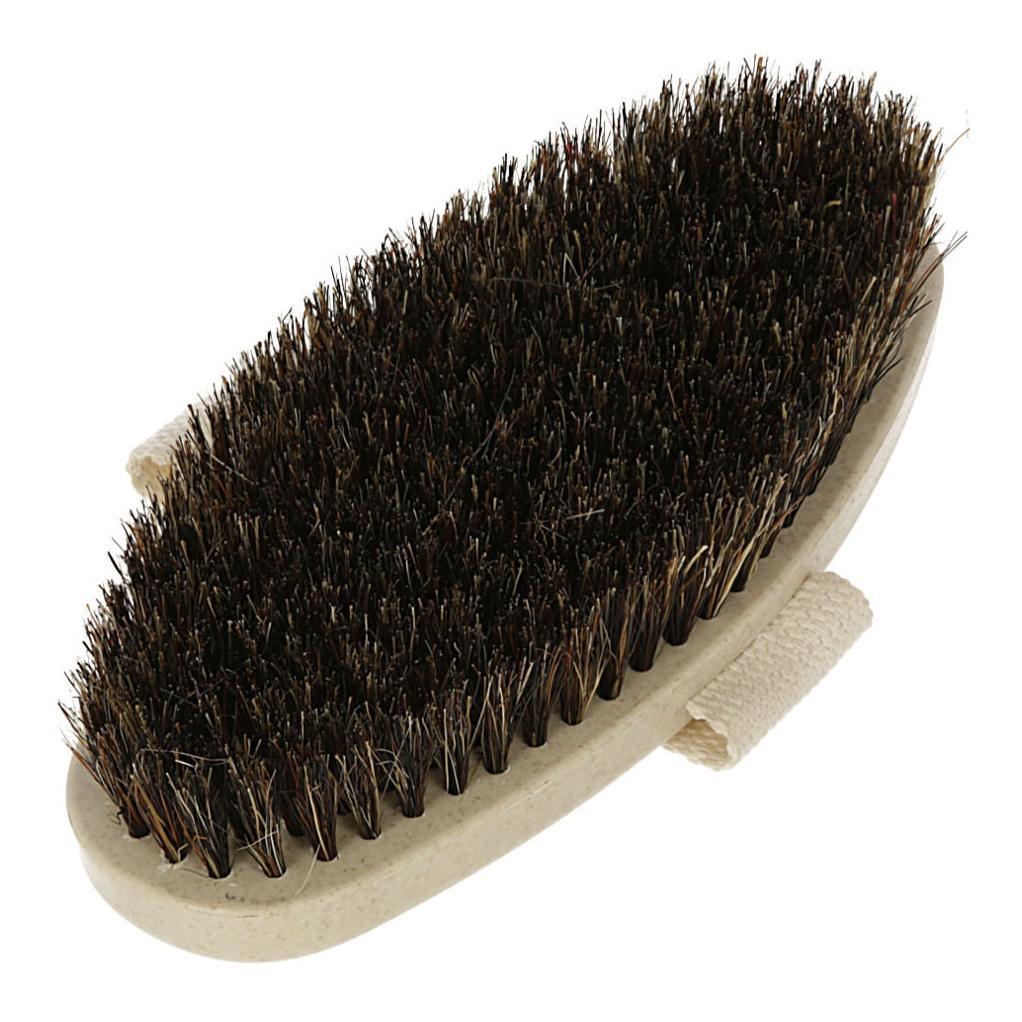 Kardätsche WaterLily