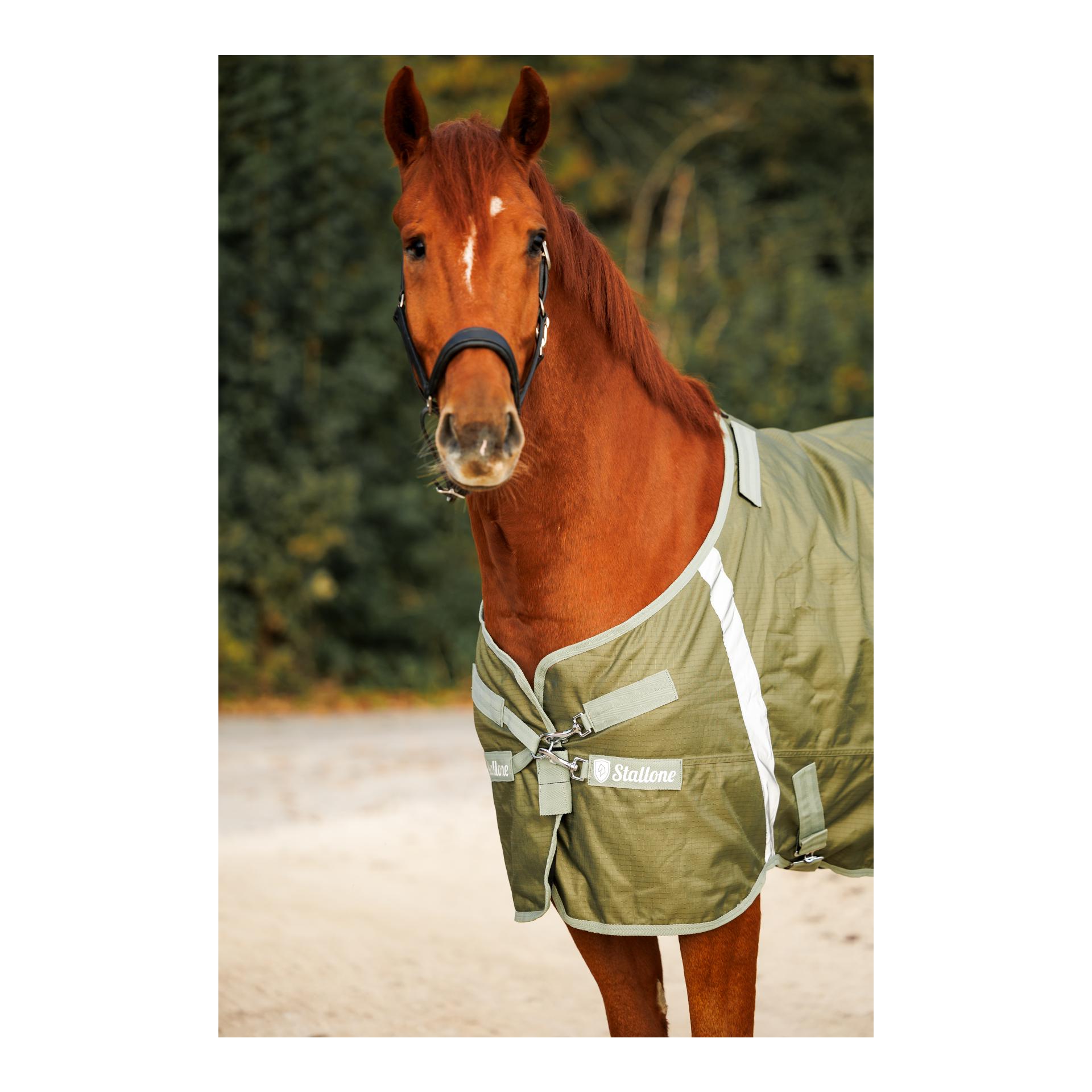 Couverture 100 g d'hiver Outdoor Guard