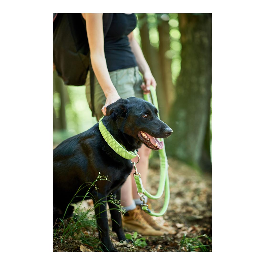 Verstellbare Führleine Hilo - limette