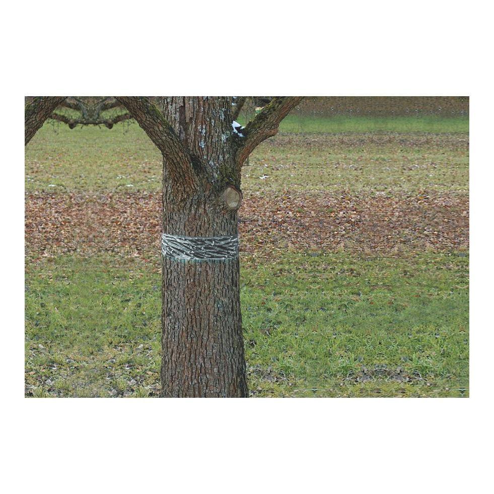 Raupen- und Ameisenleimring