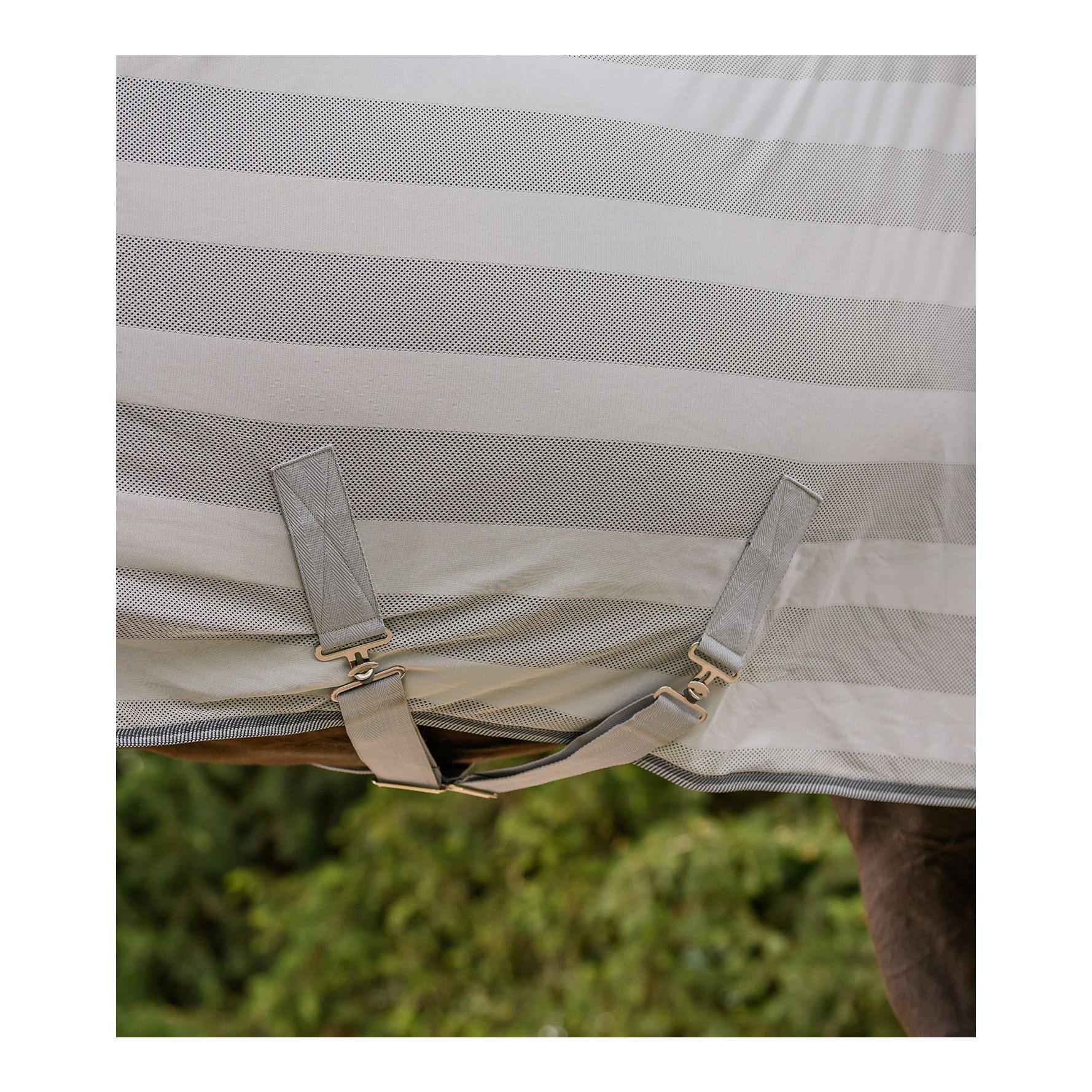 Waldhausen Fliegendecke Economic Kreuzbegurtung