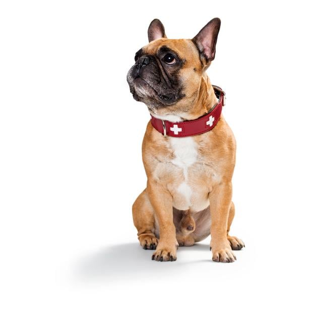 Halsband Swiss Echtleder - rot
