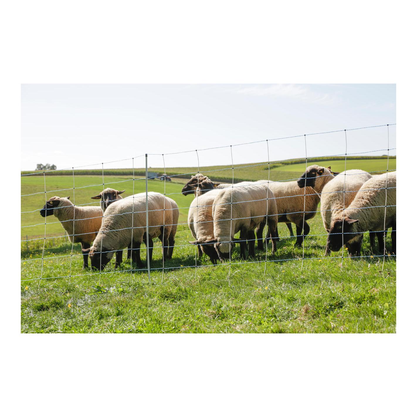 Weidenetz "Wolfnet Vario" - Einzelspitz