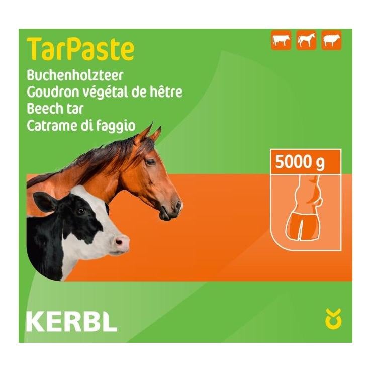 Buchenholzteer TarPaste