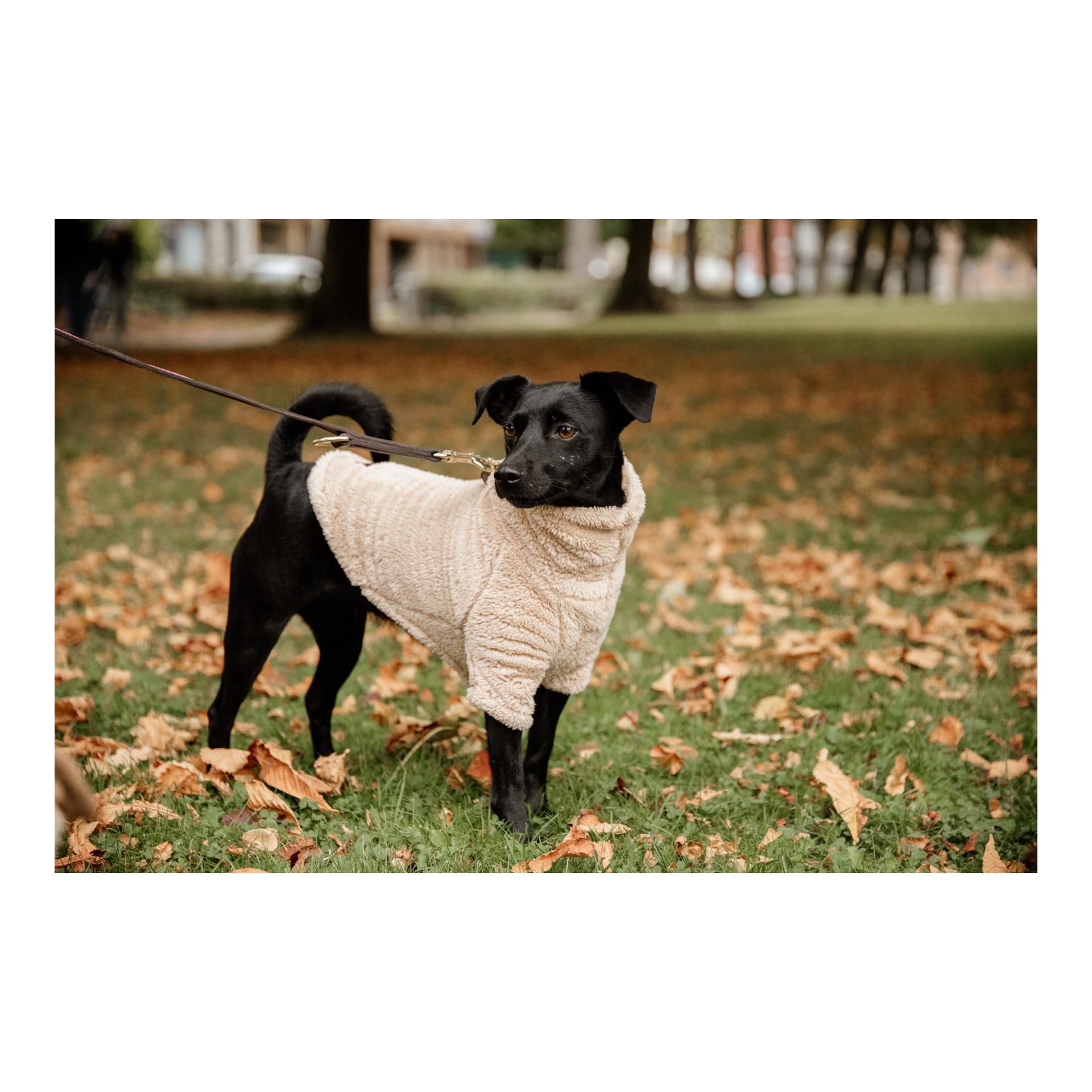 Hundepullover Teddy Fleece - beige