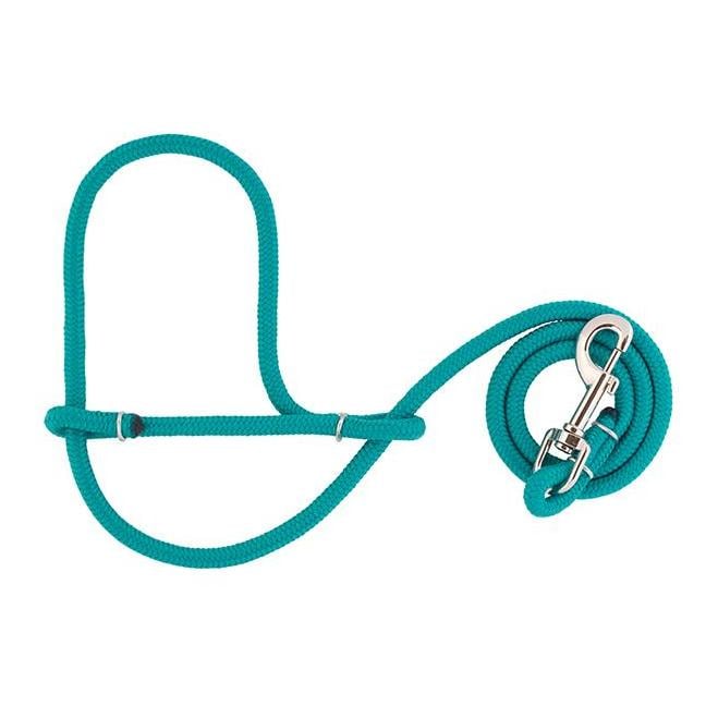 Image of Weaver Livestock Seilhalfter Schaf/Ziege - Teal - bei Hauptner.ch