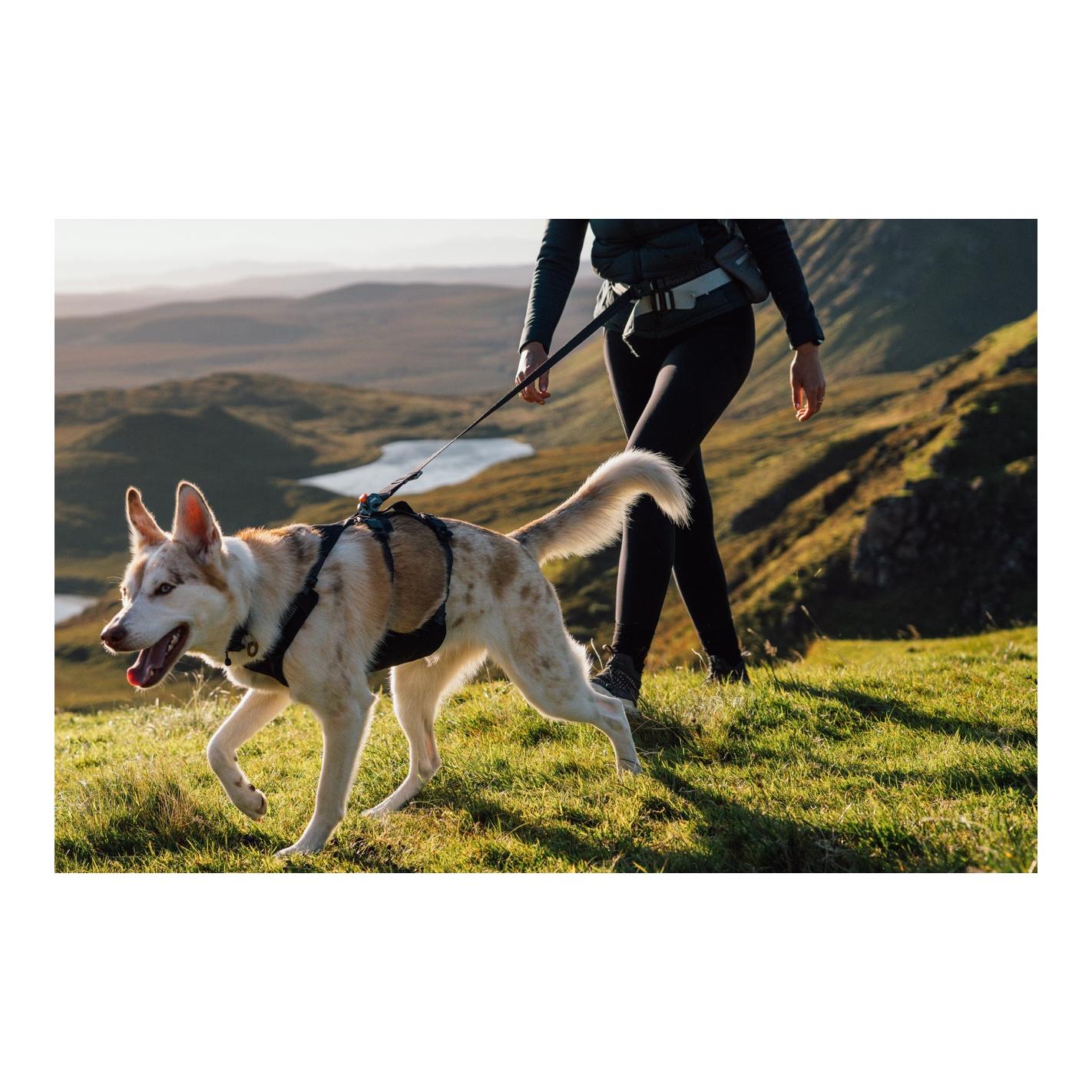 Ruffwear Ridgeline™ Hundegeschirr