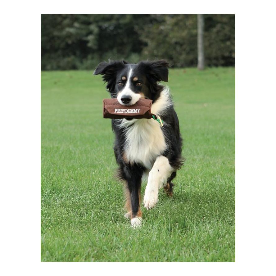 Preydummy Canvas Beutel für Futter - dunkelbraun